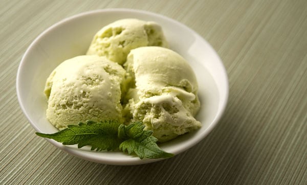 Mastering Fresh Mint Ice Cream: Your Guide to Creamy, Garden-Fresh Flavor